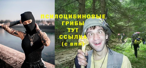 твердый Богданович
