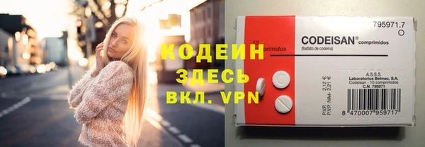 твердый Богданович