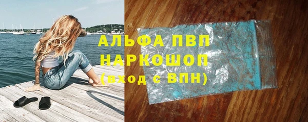 твердый Богданович