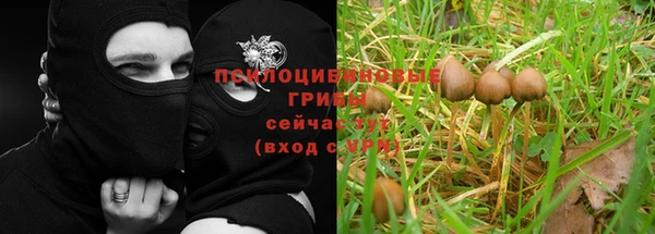 героин Богородицк