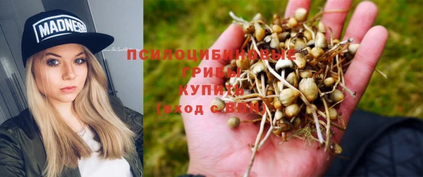 героин Богородицк