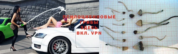 мяу мяу мука Богородск