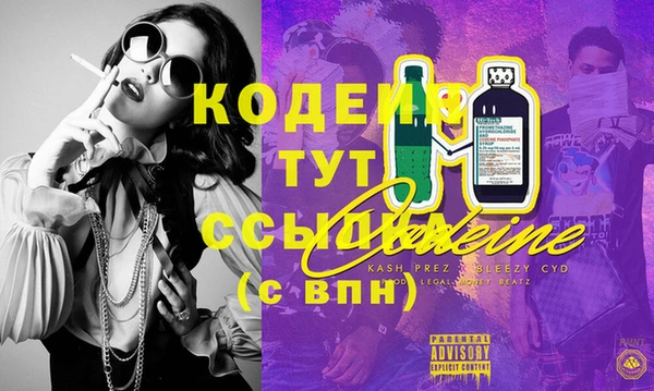 твердый Богданович