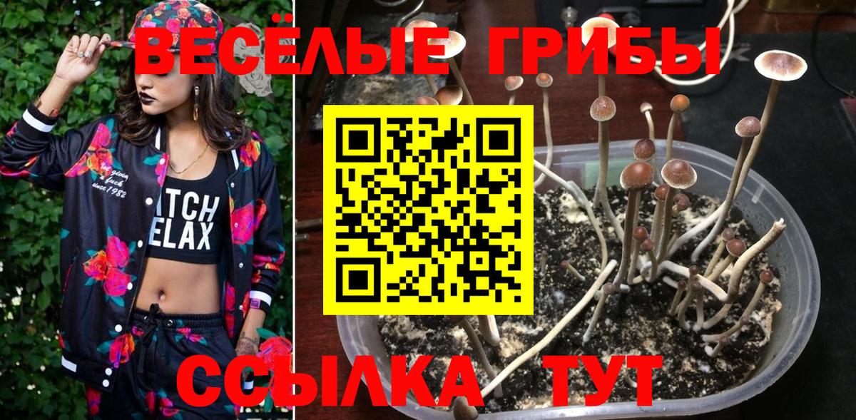 Галлюциногенные грибы ЛСД Реж
